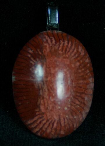 Fossil Red Horn Coral Pendant - Utah #7122